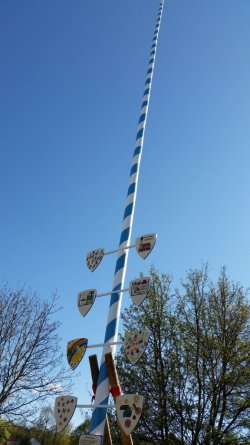 Der Maibaum wird aufgestellt